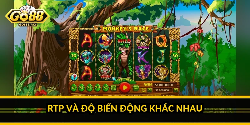 RTP và độ biến động khác nhau ra sao